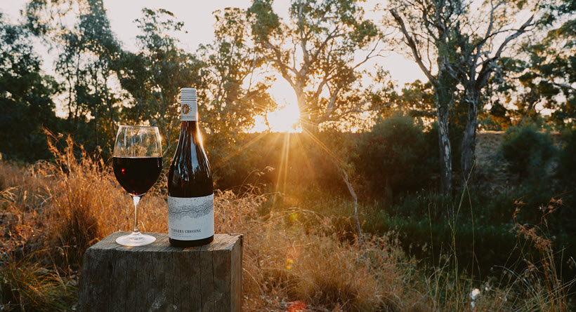 Turners crossing wine and wine glass in nature